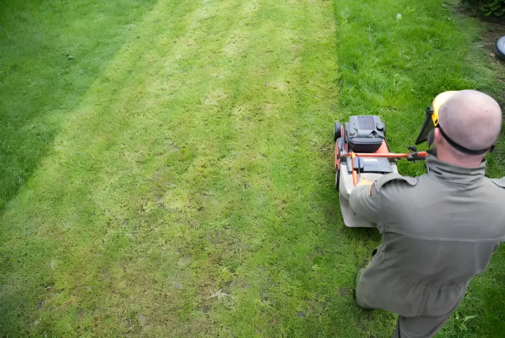 Comprehensive landscaping and site preparation by Landscaping Control Kapiti for residential and commercial outdoor projects